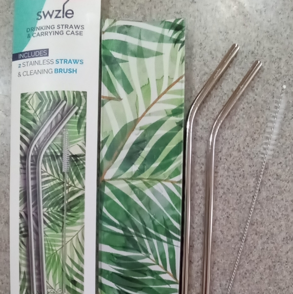 SWZLE Reusable Drinking Straws & Carrying Case - Picture 1 of 5